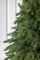 Лапландская ель зеленая 3 м премиум