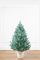 Лапландська ялинка в горщику 0,9 м блакитна