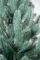 Лапландська ялинка в горщику 0,9 м блакитна