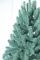 Лапландська ялинка блакитна 2,1 м преміум