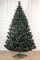 Сосна Заснеженная 2,5 м