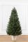 Лапландська ялинка в горщику 1,1 м зелена