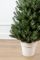 Лапландська ялинка в горщику 1,1 м зелена