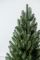Лапландська ялинка в горщику 1,1 м зелена
