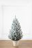 Віденська ялинка в горщику 0,9 м Засніжена