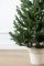 Віденська ялинка в горщику 1,1 м зелена Віденська ялинка в горщику 1,1 м зелена