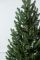 Віденська ялинка в горщику 1,1 м зелена Віденська ялинка в горщику 1,1 м зелена