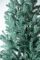 Венская ель в горшке 1,1 м голубая