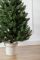 Лапландська ялинка в горщику 1,1 м зелена