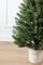 Лапландська ялинка в горщику 0,9 м зелена Лапландська ялинка в горщику 0,9 м зелена
