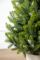 Лапландська ялинка в горщику 1,1 м Весняна