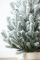Віденська ялинка в горщику 0,7 м Засніжена