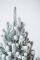 Венская ель в горшке 0,9 м Заснеженная