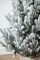 Венская ель в горшке 1,1 м Заснеженная