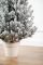 Венская ель в горшке 1,1 м Заснеженная