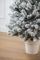 Лапландська ялинка в горщику 1,1 м Засніжена